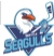 Seattle Seagulls
